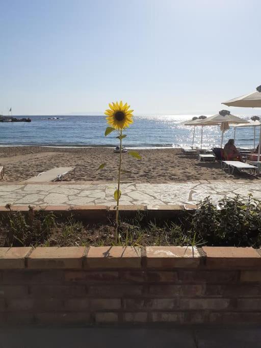 Stoupa Beachside Retro Apartment Stoúpa Exterior foto